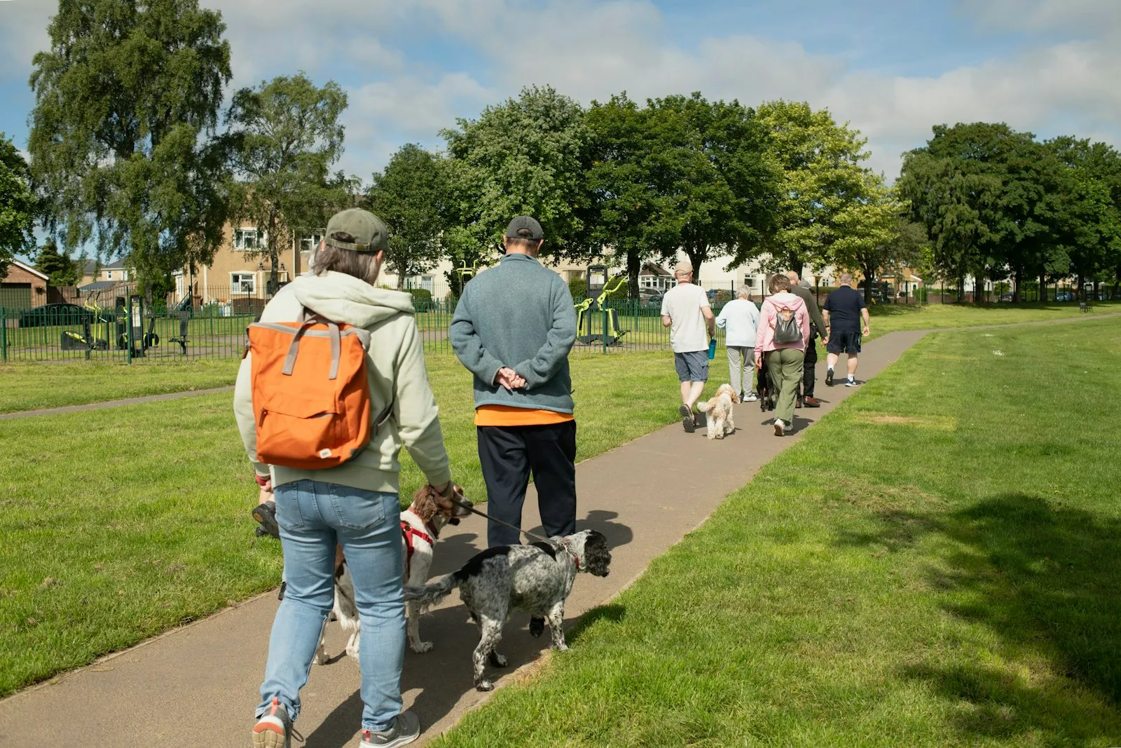 People walking a group of dogs along a park path