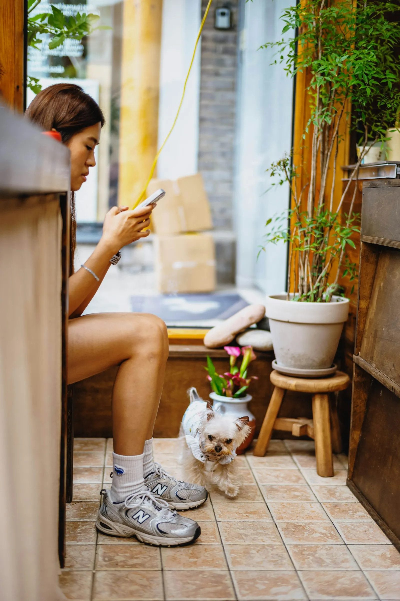 Owner checking their phone with a small dog beside them